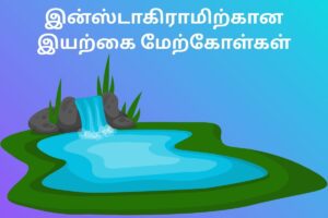 இன்ஸ்டாகிராமிற்கான இயற்கை மேற்கோள்கள்