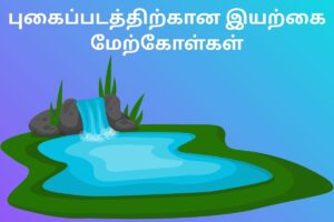 புகைப்படத்திற்கான இயற்கை மேற்கோள்கள்