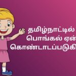 தமிழ்நாட்டில் பொங்கல் ஏன் கொண்டாடப்படுகிறது?