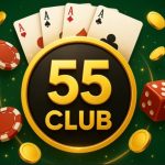 55 Club – A Player’s Journey to Online Gaming Success