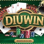 Diuwin – Essential Tips and Tricks for Better Gameplay
